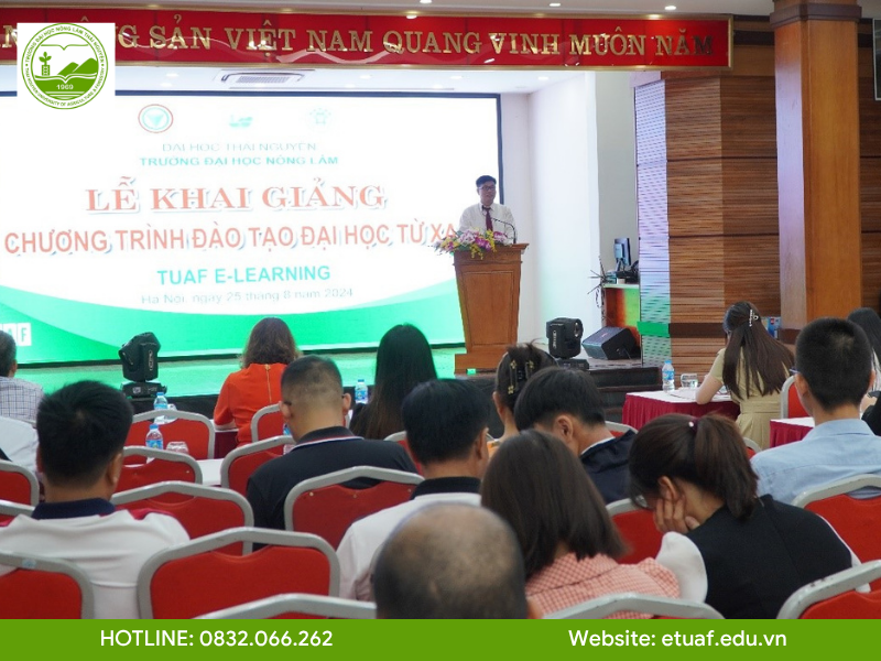 hoc-van-bang-2-online-tu-xa-co-hoi-mo-rong-tuong-lai-nghe-nghiep