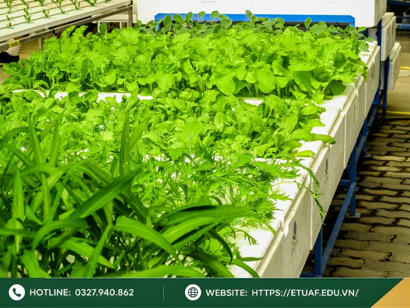 Đối tượng phù hợp với ngành công nghệ thực phẩm
