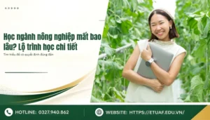 Học ngành nông nghiệp mất bao lâu, Lộ trình học chi tiết